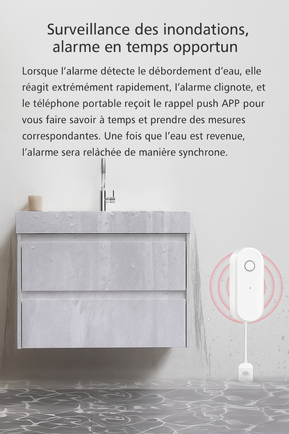 Détecteur intelligent de fuite d'eau