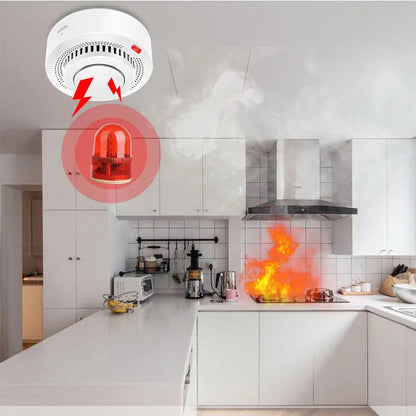 Détecteur de fumée intelligent bis